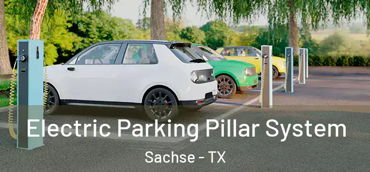  Electric Parking Pillar System Sachse - TX
