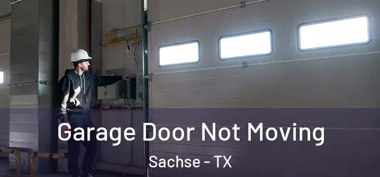  Garage Door Not Moving Sachse - TX