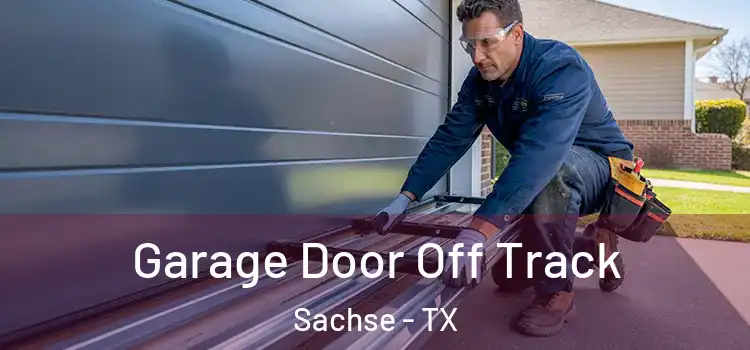  Garage Door Off Track Sachse - TX