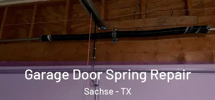  Garage Door Spring Repair Sachse - TX