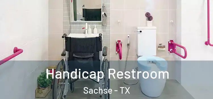  Handicap Restroom Sachse - TX