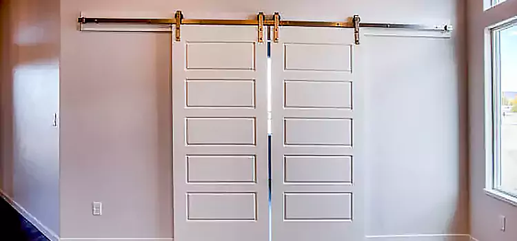 Glass Barn Door with Installation Hardware Kit Sachse