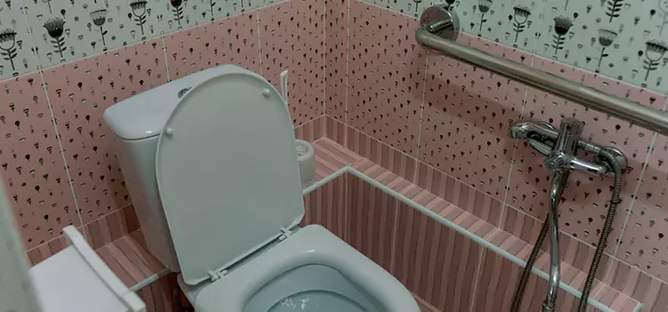 Meeting Diverse Needs With Accessible Restroom Solutions in Sachse, TX
